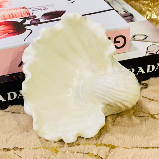 Sea shell storage