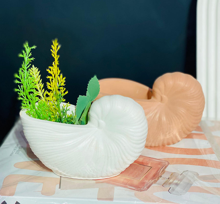 Mini seashell concrete vase with filler